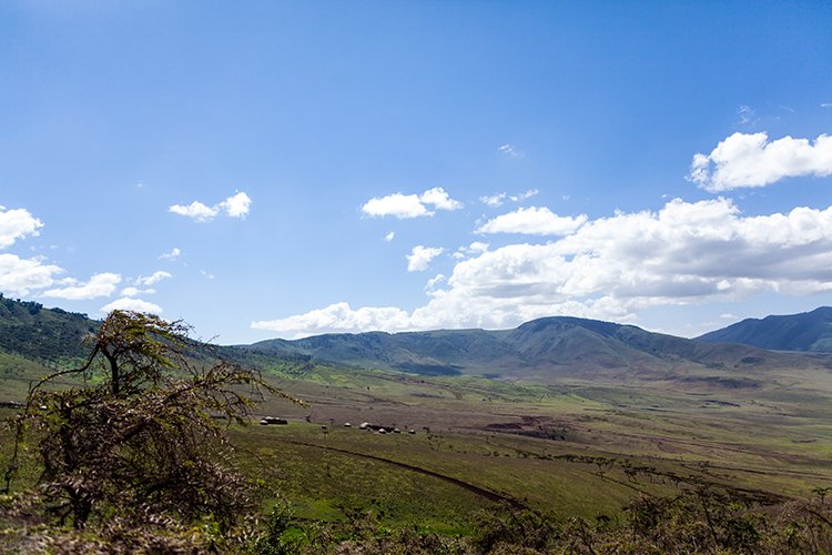 TZA ARU Ngorongoro 2016DEC23 031